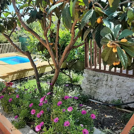 Carrubo - Giardino In Citta