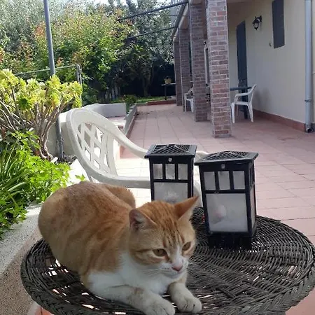 Holiday home Carrubo - Giardino In Citta